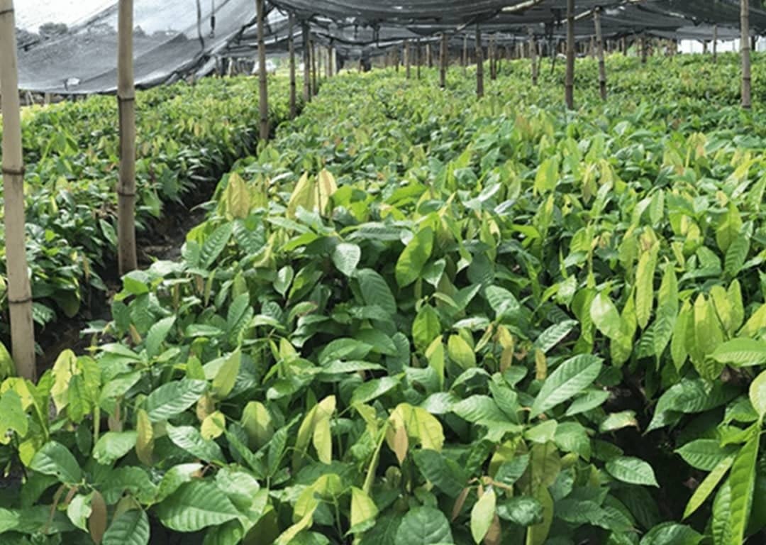 Lutte-contre-la-pauvrete