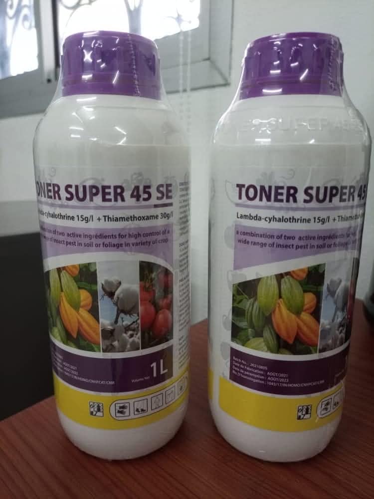 FB_IMG_1746546860321