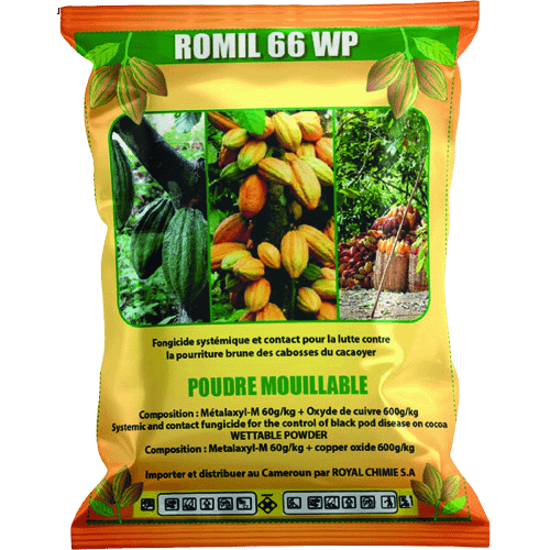 ROMIL-removebg-preview