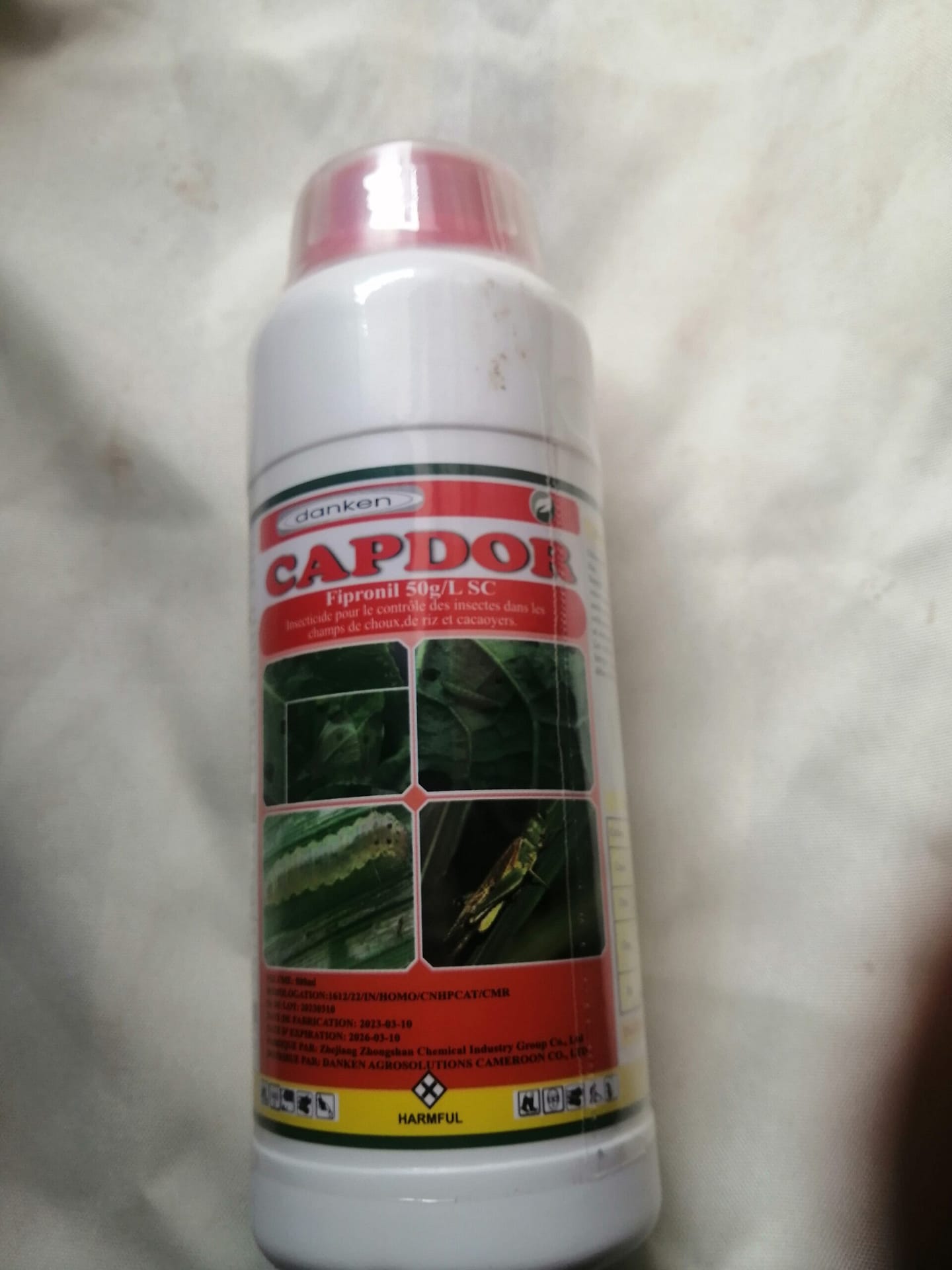 IMG_20250615_101004-scaled